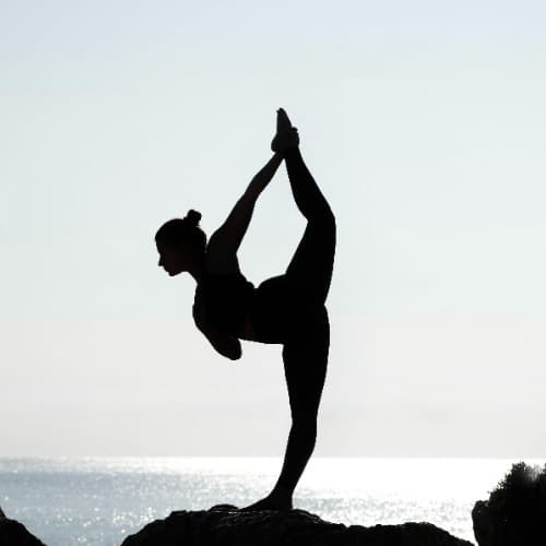 Vinyasa flow