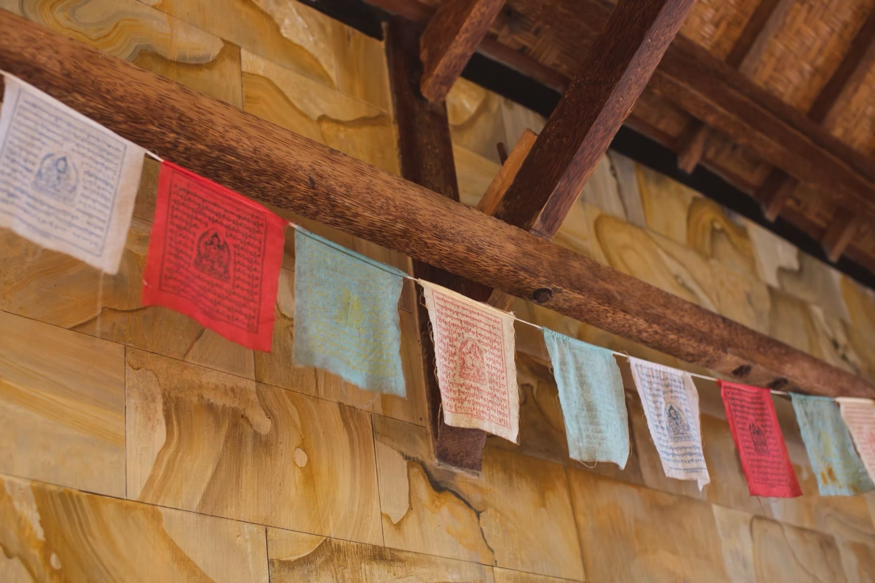 Gallery image 6