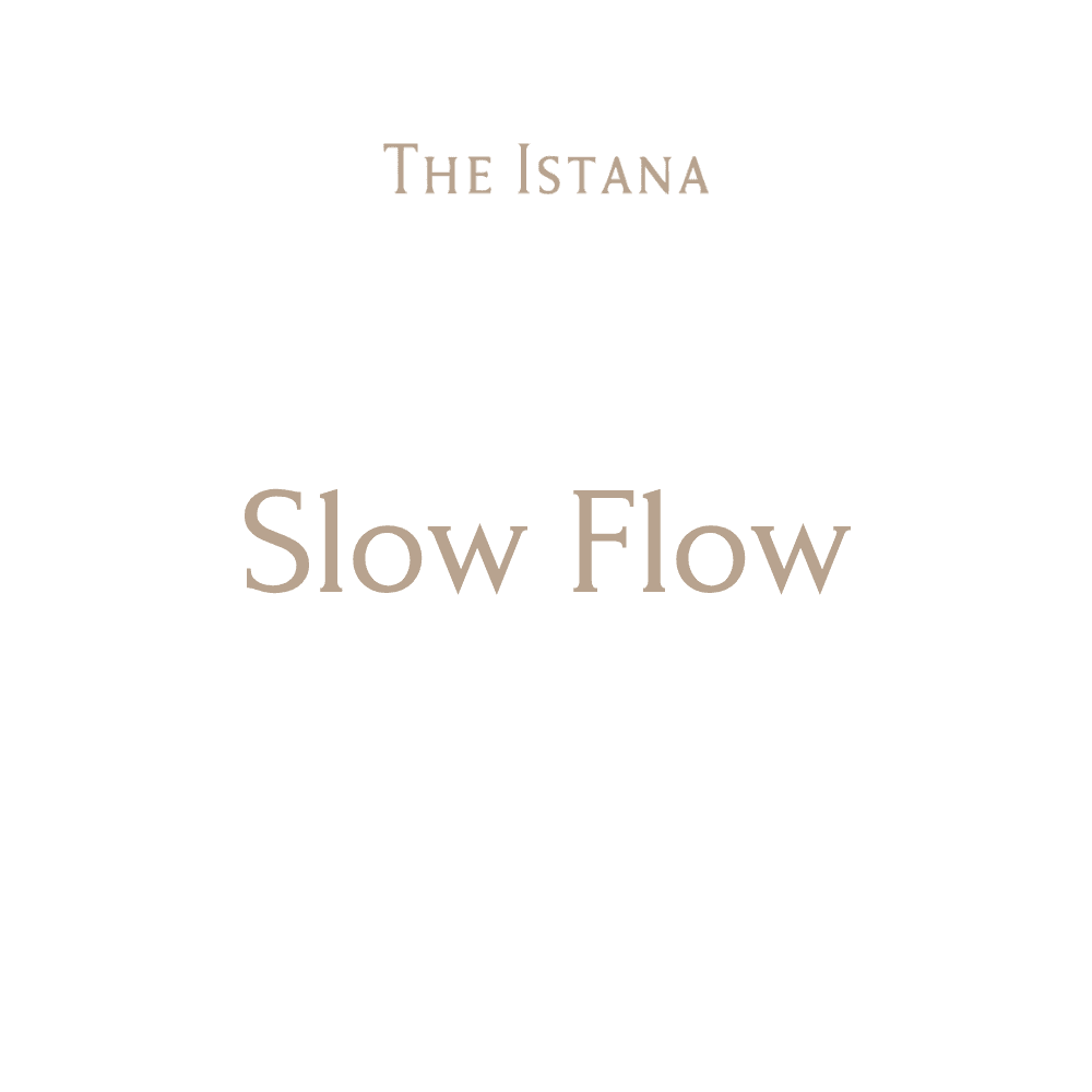 Slow Flow