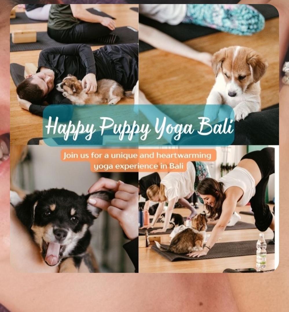 Puppy Yoga