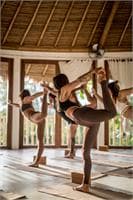 Vinyasa