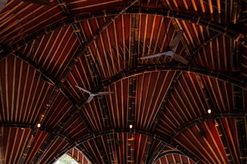 Gallery image 5