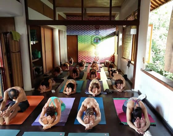 Spacious Yoga