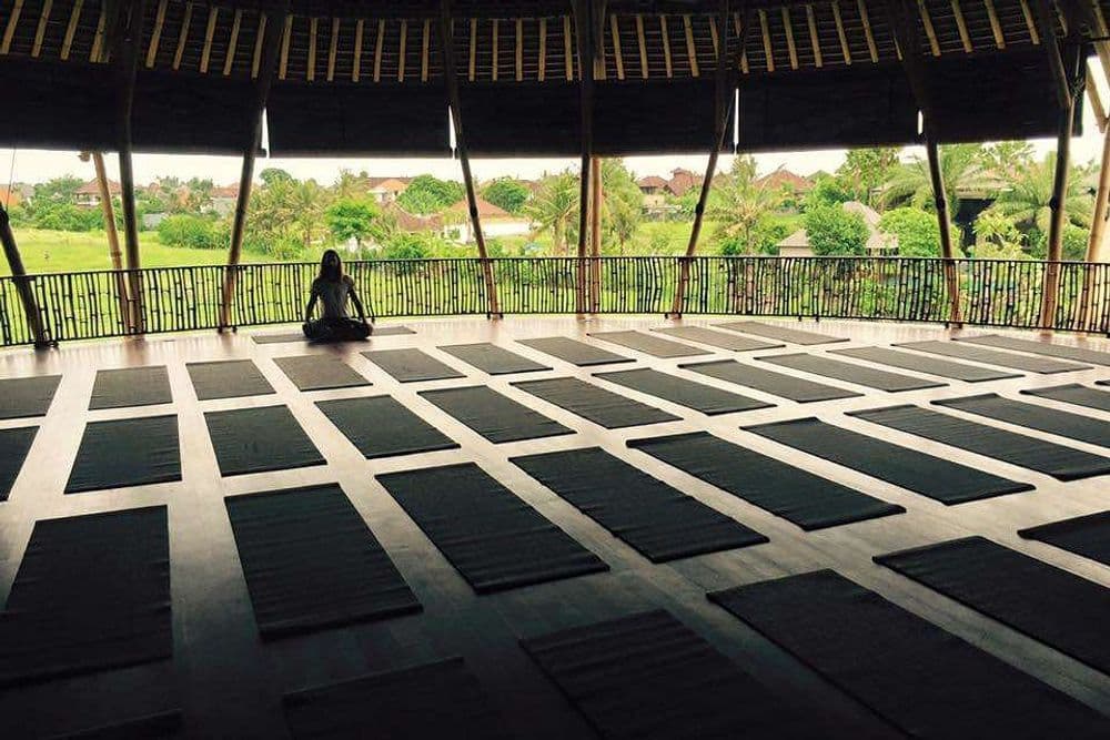 The Practice