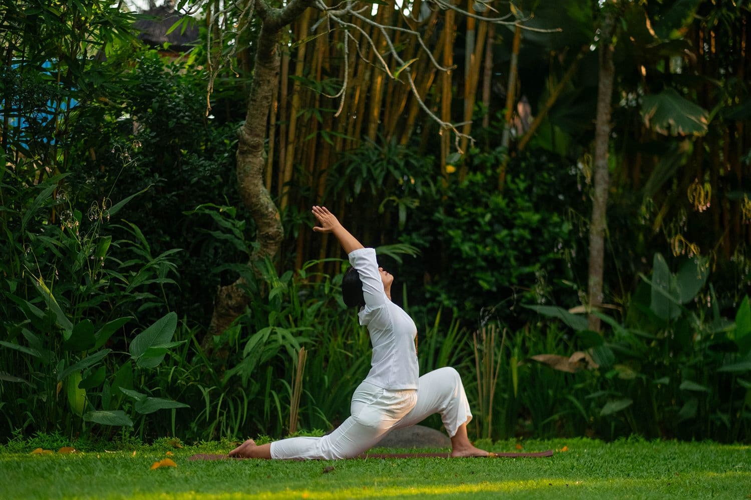 Fivelements Retreats Bali