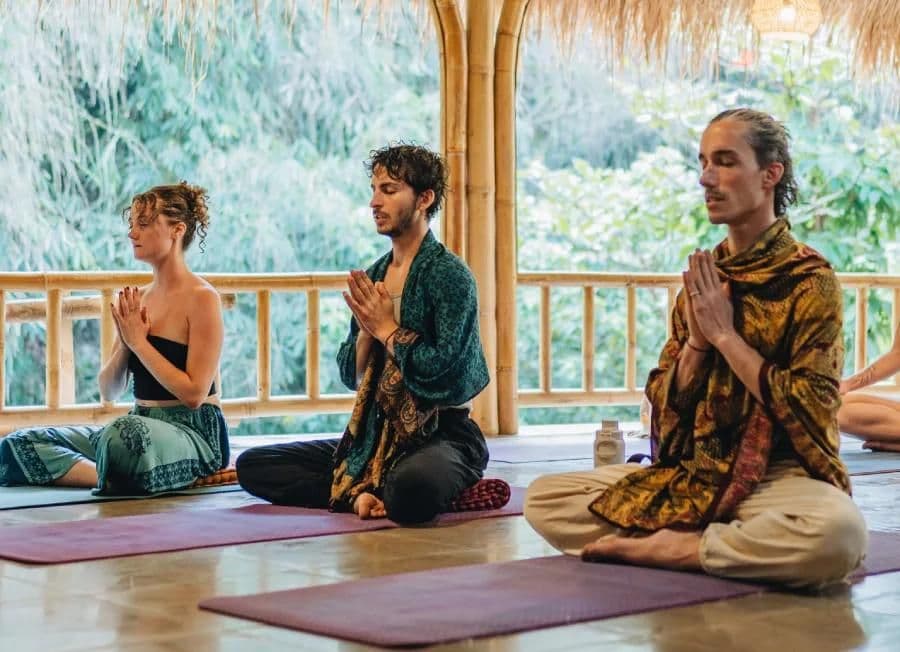 Vinyasa Yoga Academy